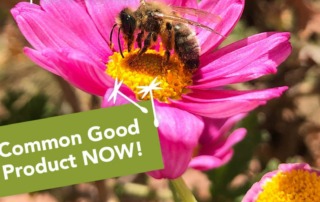 Common Good Product