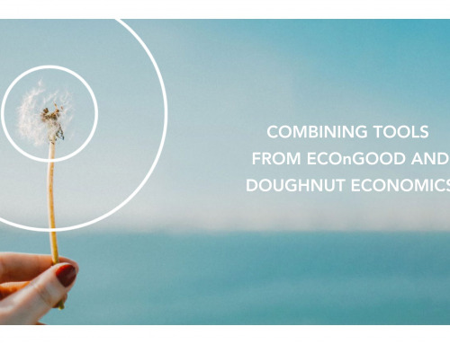 A shared goal between ECOnGOOD and Doughnut Economics