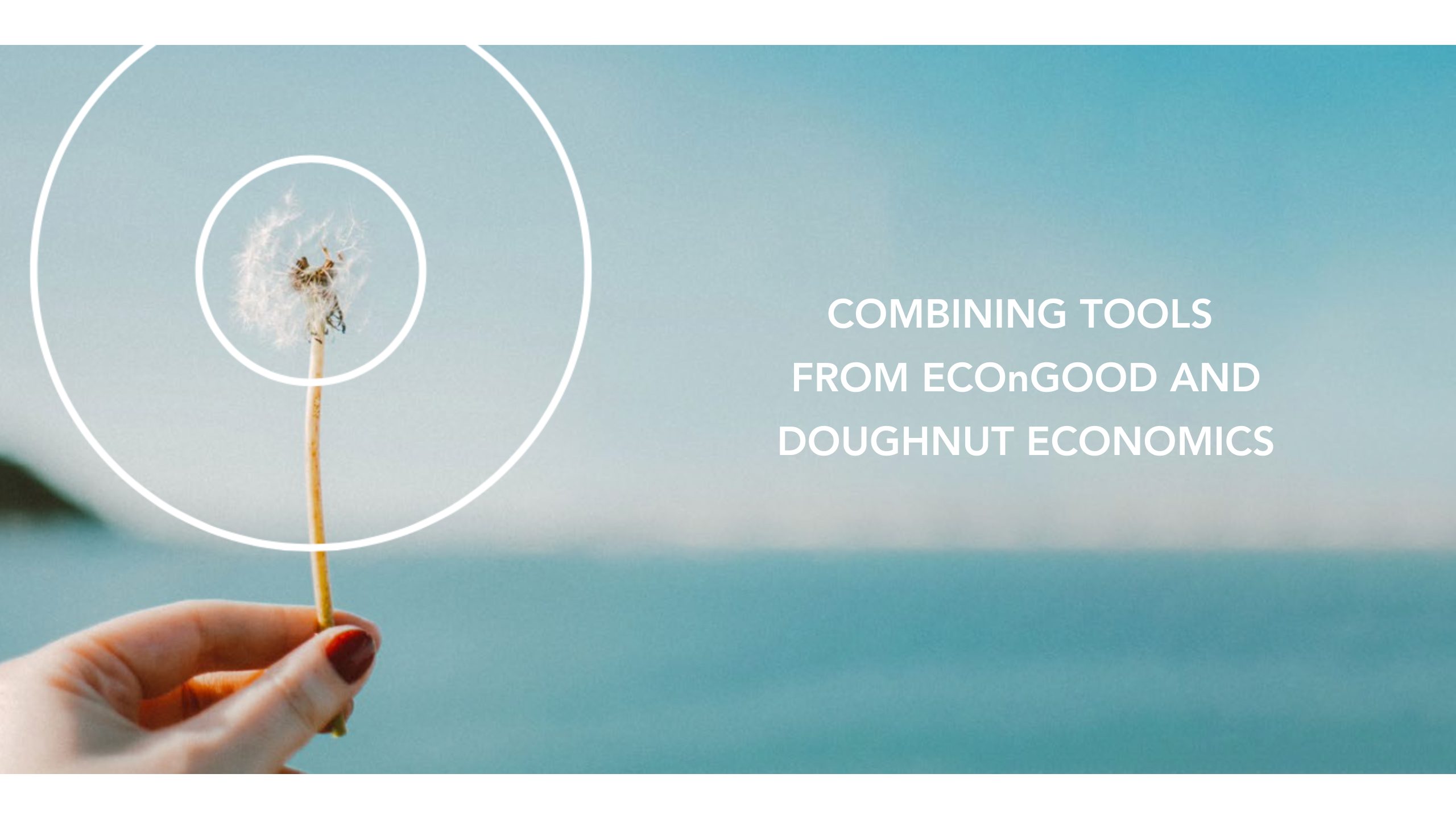 A hand holding a dandelion against a blue sky with concentric circles emanating from the flower. Text on the right reads: Combining tools from EConGOOD and Doughnut Economics.
