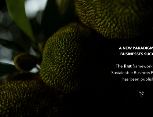 A new paradigm for businesses success