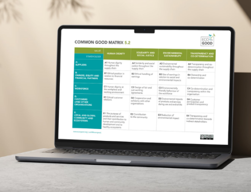 Matrix 5.2: success beyond profit